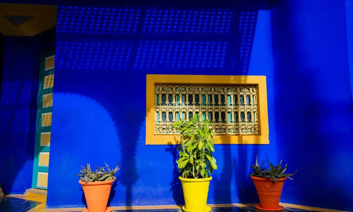 Un mur d'un bleu majorelle vibrant, rappelant l'univers d'Yves Saint Laurent, orné d'une fenêtre jaune et de plantes en pot.