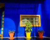 Un mur d'un bleu majorelle vibrant, rappelant l'univers d'Yves Saint Laurent, orné d'une fenêtre jaune et de plantes en pot.