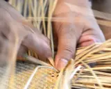 Mains habiles tressant des brins de paille, un vieil outil artisanal prend forme.