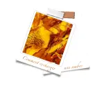 Gros plan sur une pièce d'ambre aux reflets dorés et orangés, sur fond blanc.