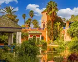 Jardin luxuriant avec un étang reflétant une maison bleue à Marrakech, palmiers et ciel bleu.