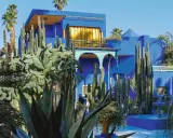 La **maison bleu Majorelle** se dresse fièrement, entourée d'une jungle de cactus et de palmiers. Un spectacle vibrant sous le ciel bleu.