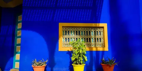 Un mur d'un bleu majorelle vibrant, rappelant l'univers d'Yves Saint Laurent, orné d'une fenêtre jaune et de plantes en pot.