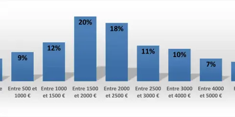 Graphique montrant la répartition des salaires. Le marqueteur peut espérer un salaire entre 1500 et 2000€ (20%).