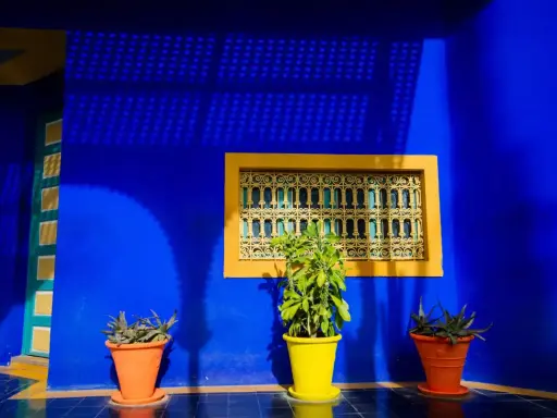 Un mur d'un bleu majorelle vibrant, rappelant l'univers d'Yves Saint Laurent, orné d'une fenêtre jaune et de plantes en pot.