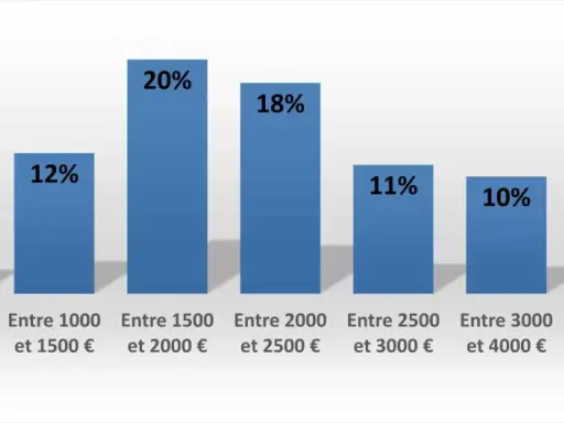 Graphique montrant la répartition des salaires. Le marqueteur peut espérer un salaire entre 1500 et 2000€ (20%).