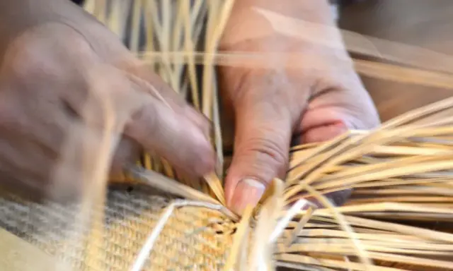 Mains habiles tressant des brins de paille, un vieil outil artisanal prend forme.