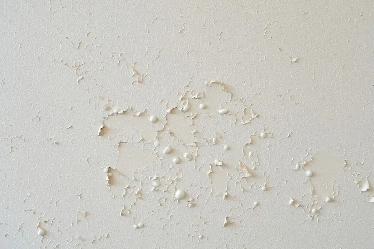 Enduit blanc qui cloque et bulle, signe d'une humidité sous-jacente. Pourquoi mon enduit fait des bulles ?