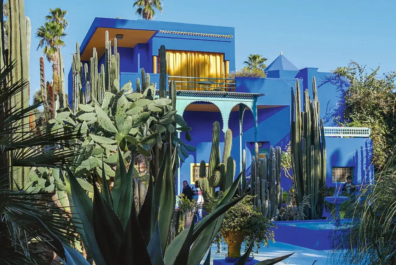 Jardin luxuriant de cactus devant une maison bleu vif &agrave; Marrakech, avec des palmiers et des rideaux dor&eacute;s.