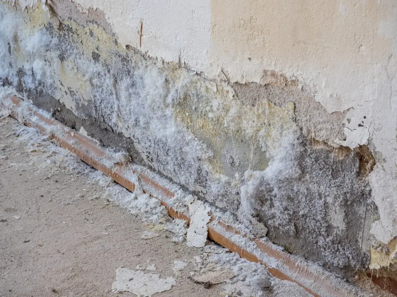 Taches blanches et poudreuses sur un enduit à la chaux dégradé, révélant la maçonnerie et un tuyau en terre cuite.