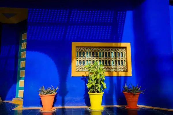 Un mur d'un bleu majorelle vibrant, rappelant l'univers d'Yves Saint Laurent, orné d'une fenêtre jaune et de plantes en pot.